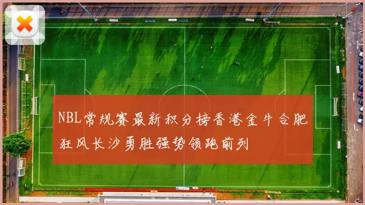 NBL常规赛最新积分榜香港金牛合肥狂风长沙勇胜强势领跑前列