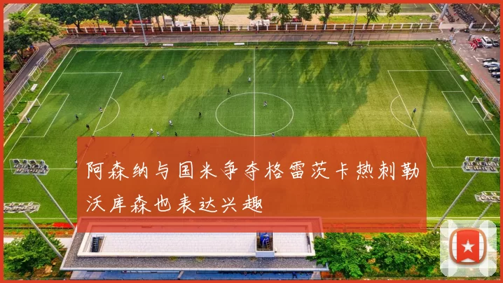 阿森纳与国米争夺格雷茨卡热刺勒沃库森也表达兴趣